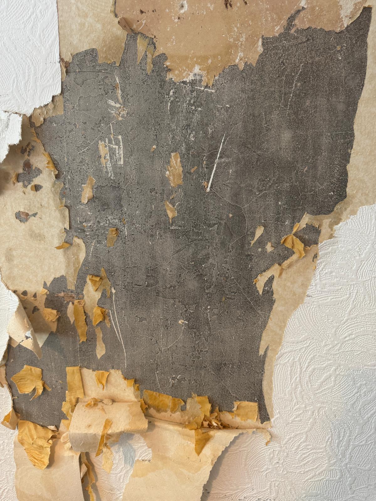 Peeling wallpaper from damp — damp proofing treatment required