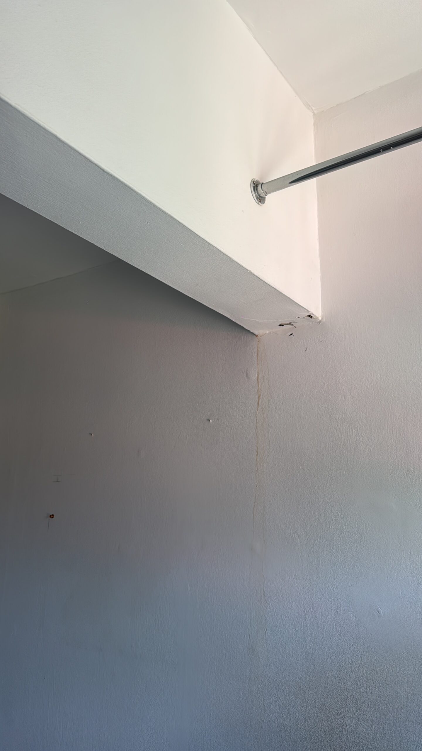Damp patches on interior wall in cupboard — water ingress investigation