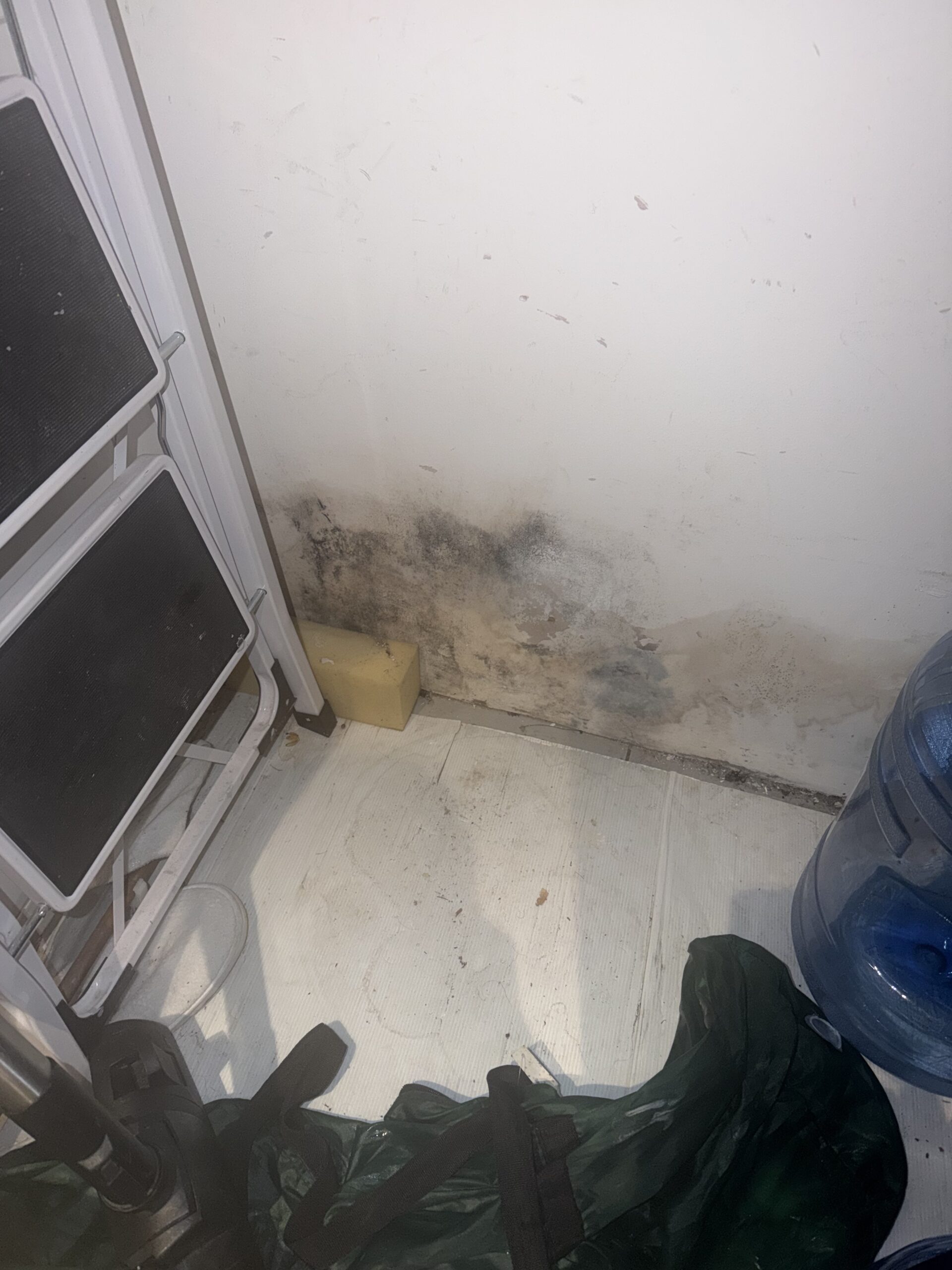 Rising damp on interior wall showing tide marks and salt deposits