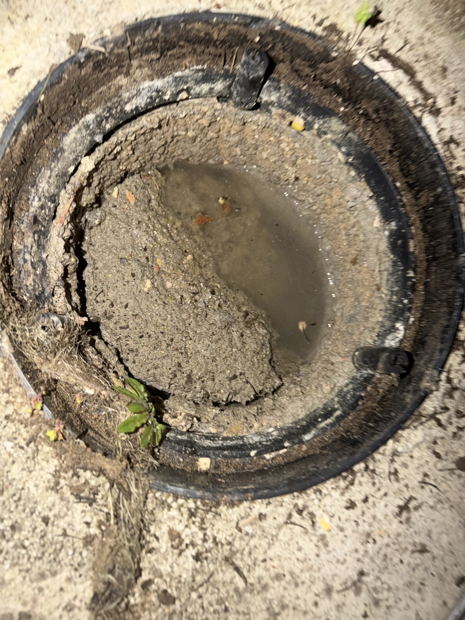 Water and sediment in an open drain chamber