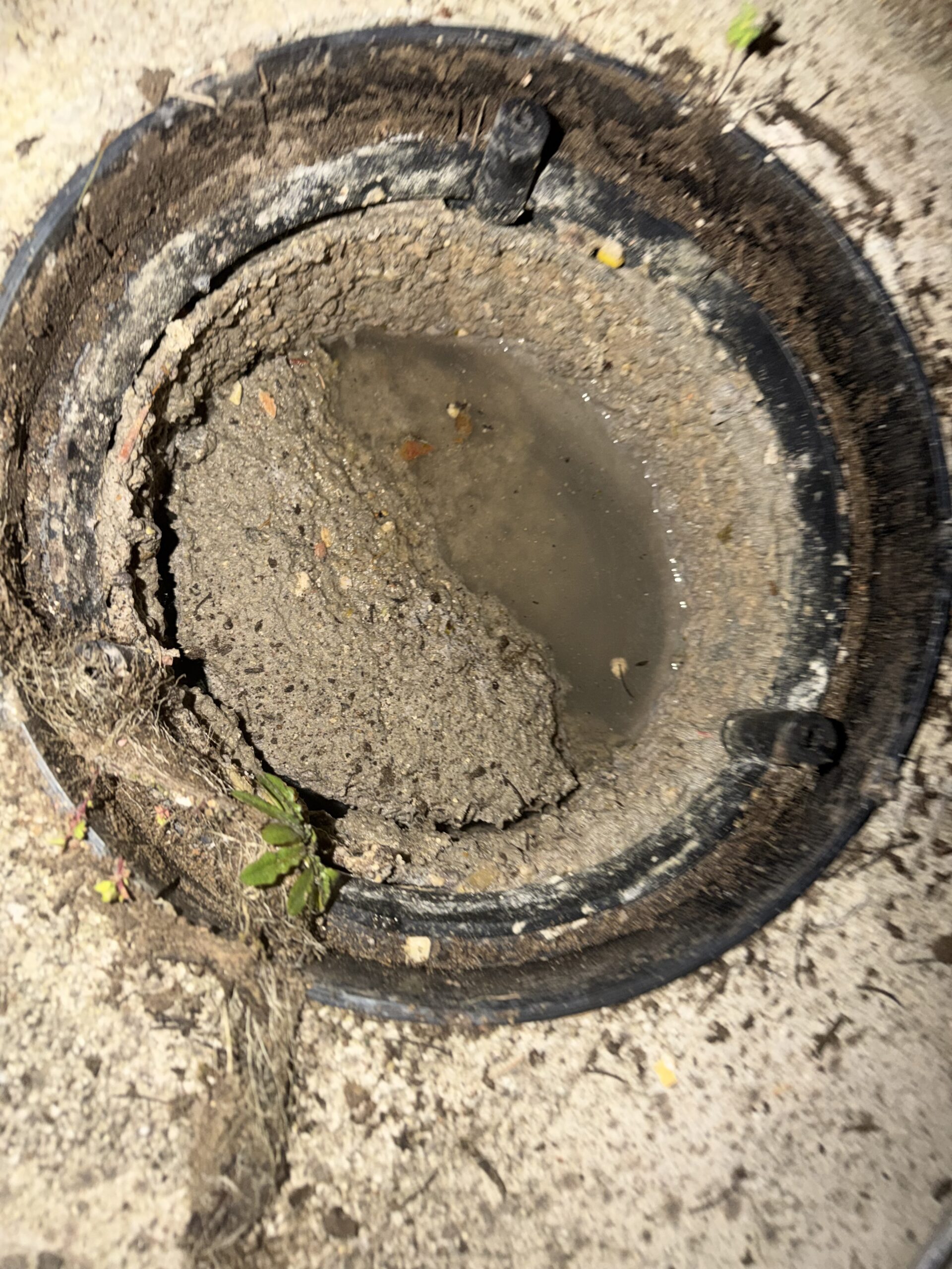 Blocked drain inspection close-up