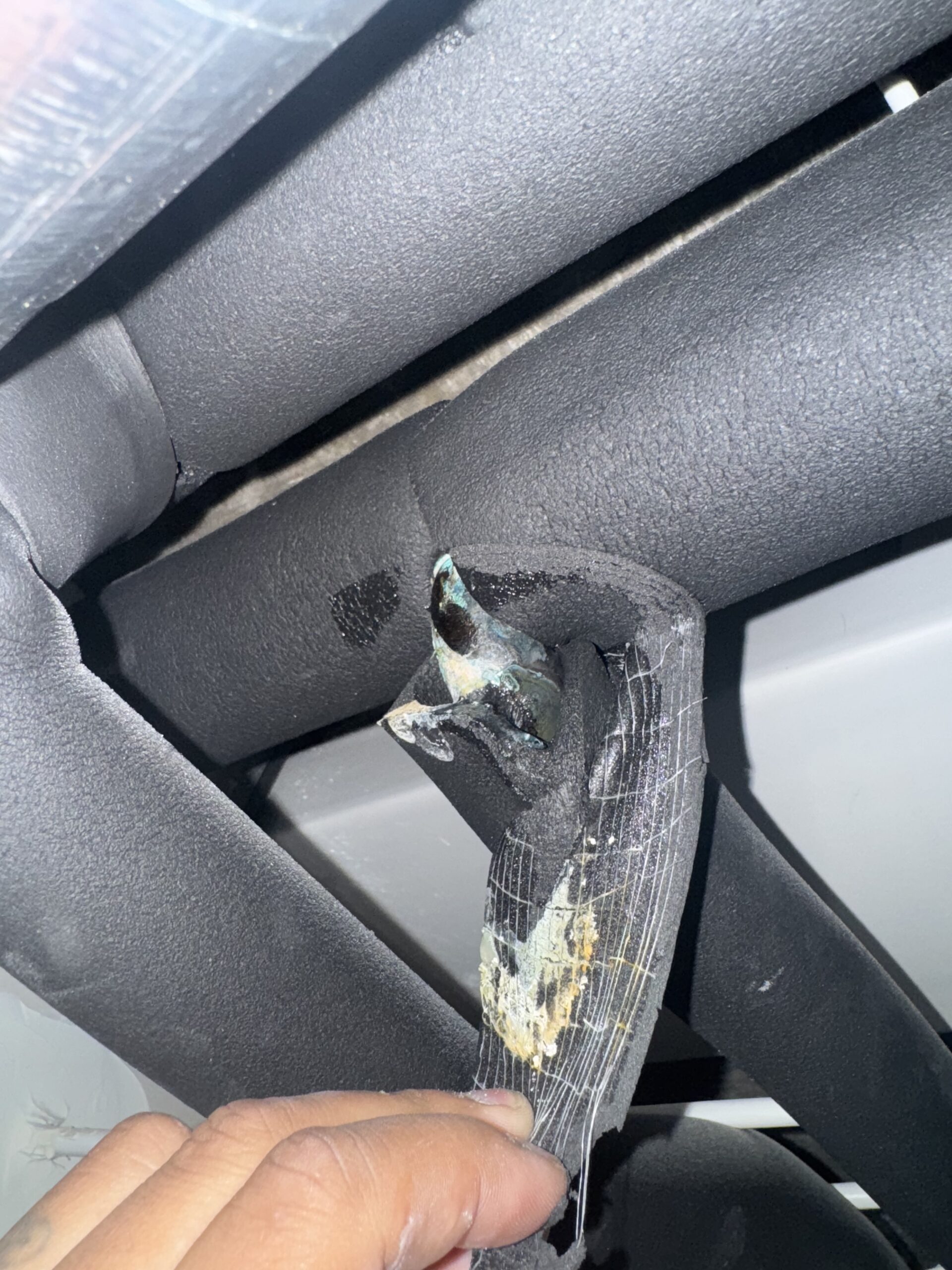 Corroded pipe joint identified as water leak source
