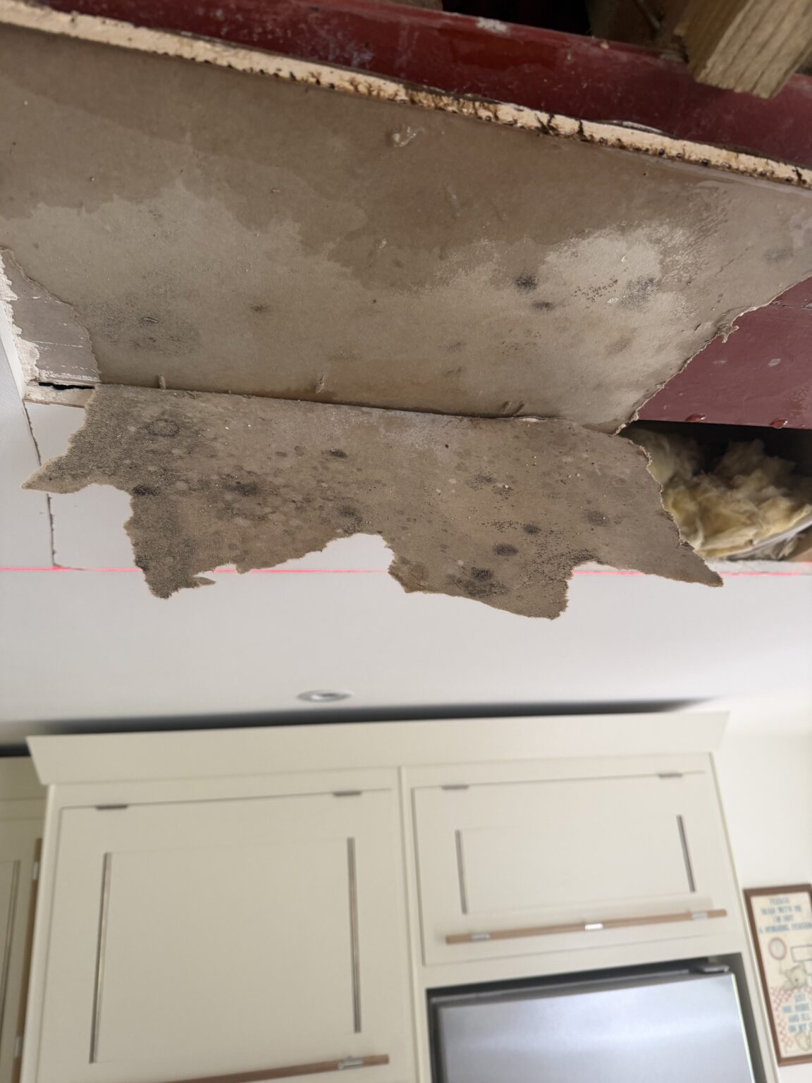 Black mould growth on wall