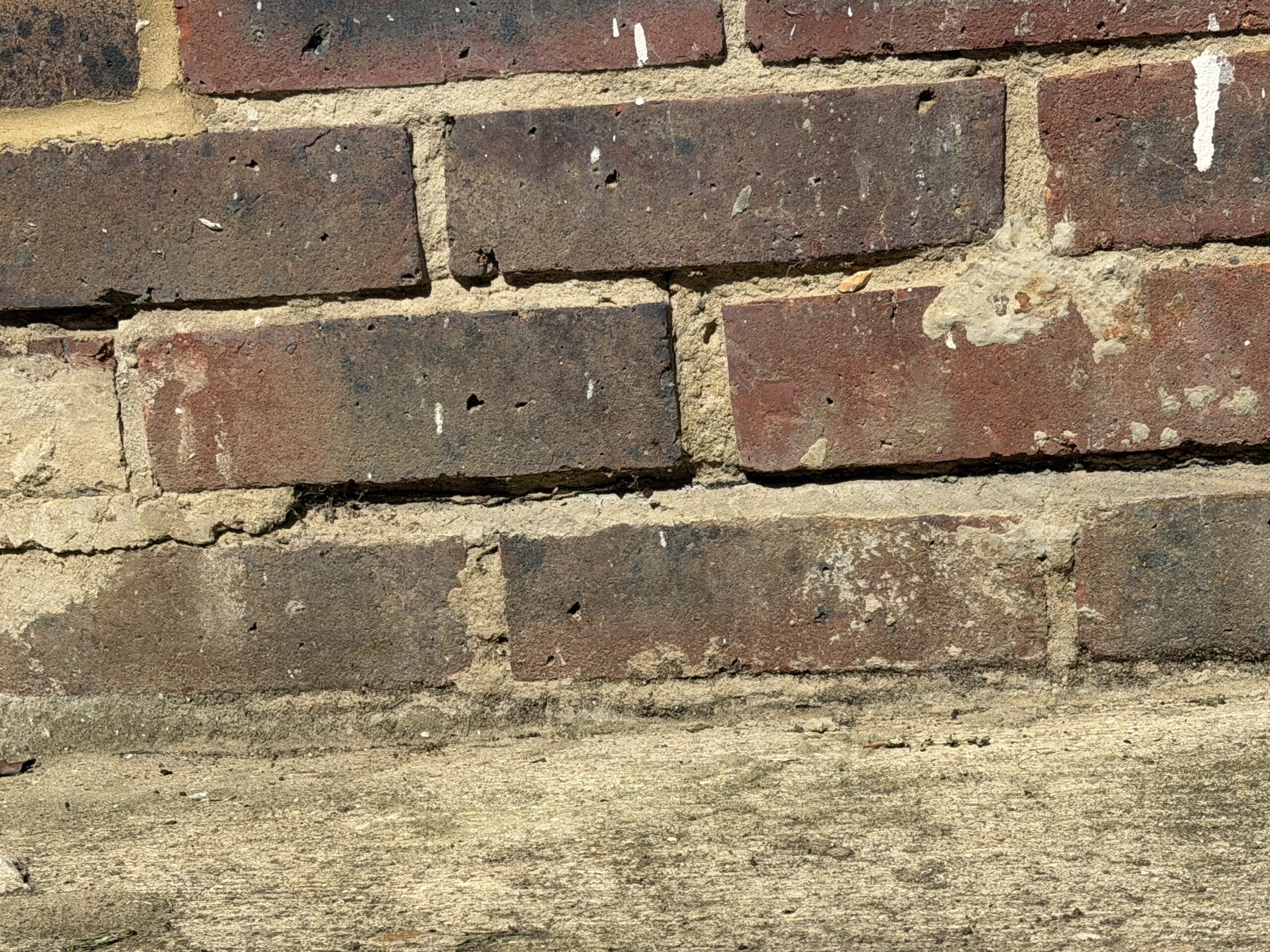 Exterior brickwork with white salt efflorescence — classic rising damp indicator