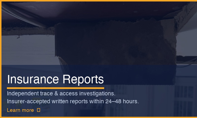 Insurance Reports service — ceiling investigation photo