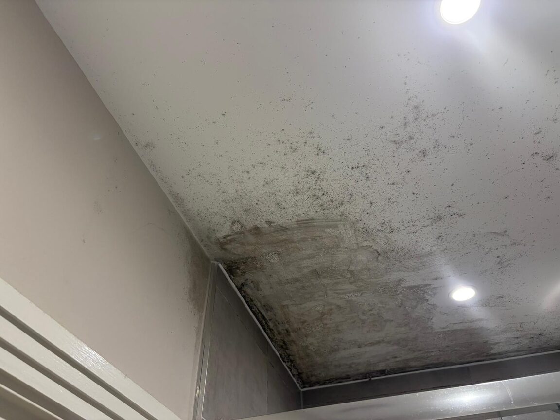 Black mould speckling spreading across a bathroom ceiling corner beside two downlights