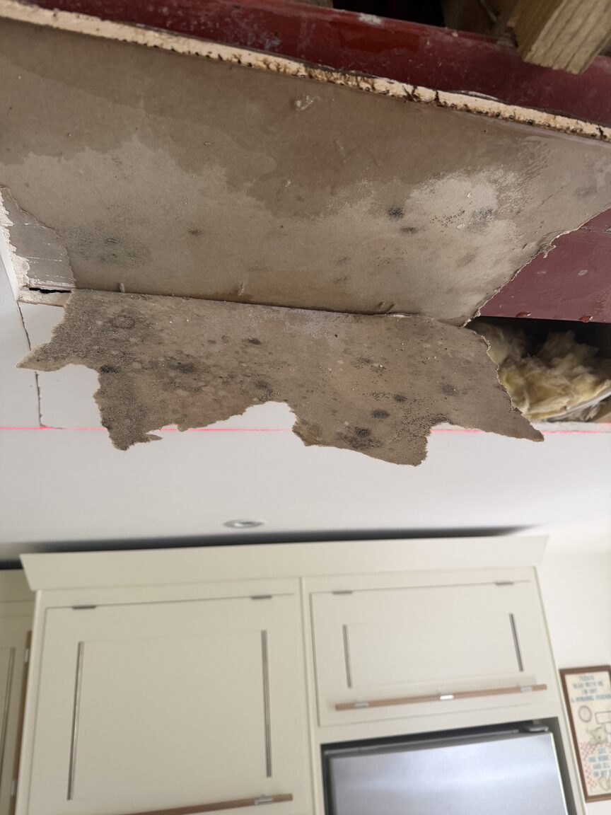 Mould spotting on the back of ceiling plasterboard opened up beneath a steel beam, loft insulation visible above