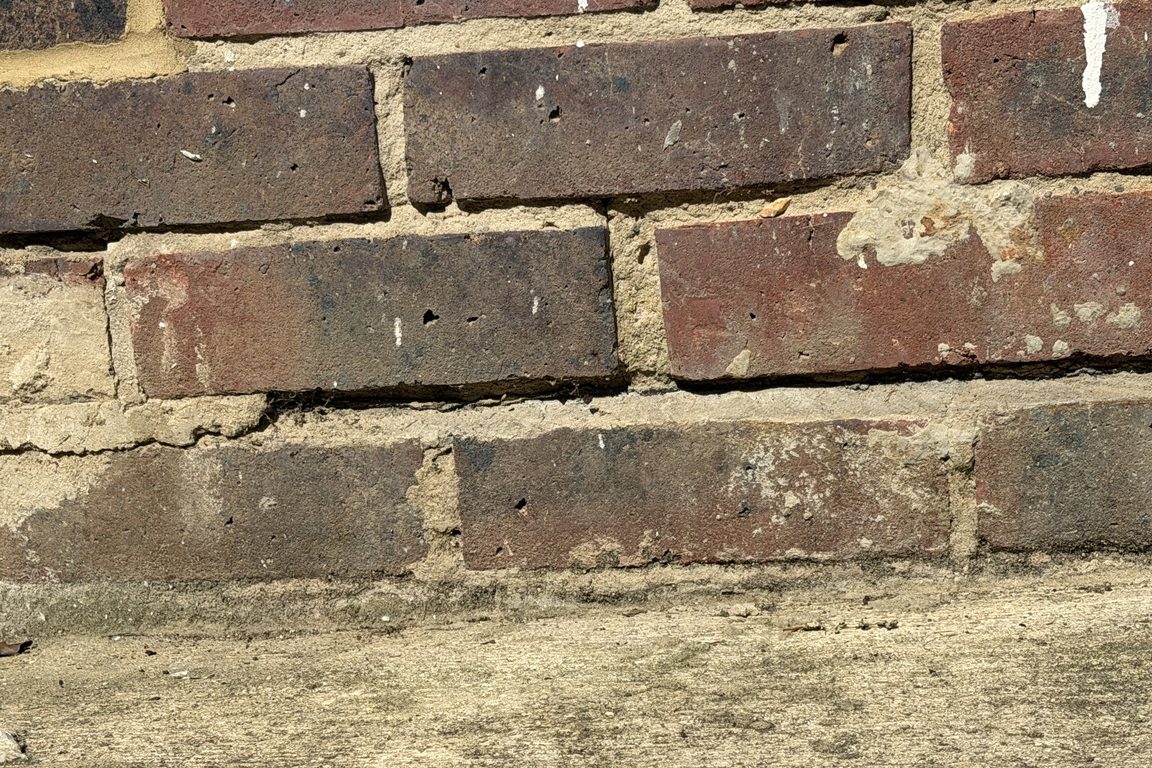 White salt efflorescence and damaged mortar on external brickwork at ground level