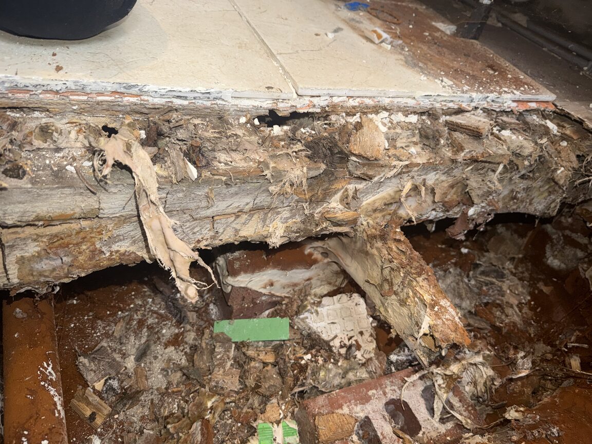 Severely rotted floor joist under a tiled floor with debris in the void below