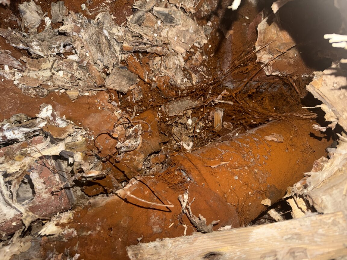 Heavily rusted pipe buried in a rotten floor cavity under a bathroom